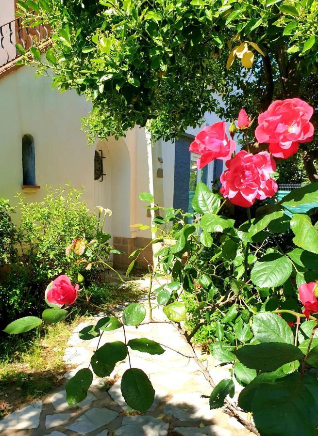 Studio Au Calme Tout Confort Proche Des Plages - Jardin Wifi Parking Fréjus Exterior foto
